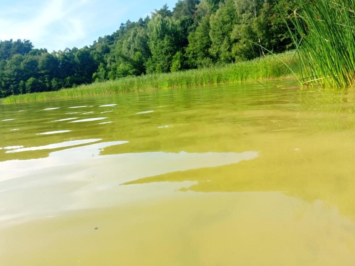 Smocze Ranczo 2 Villa Ośno Lubuskie Buitenkant foto